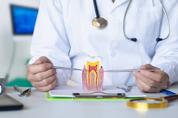 Best Emergency Dentist for Lost Fillings or Crowns in Lovington, IL
